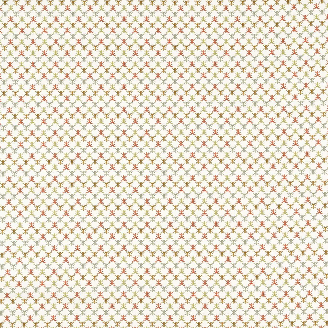 Harlequin kangas Mini Wood Frog