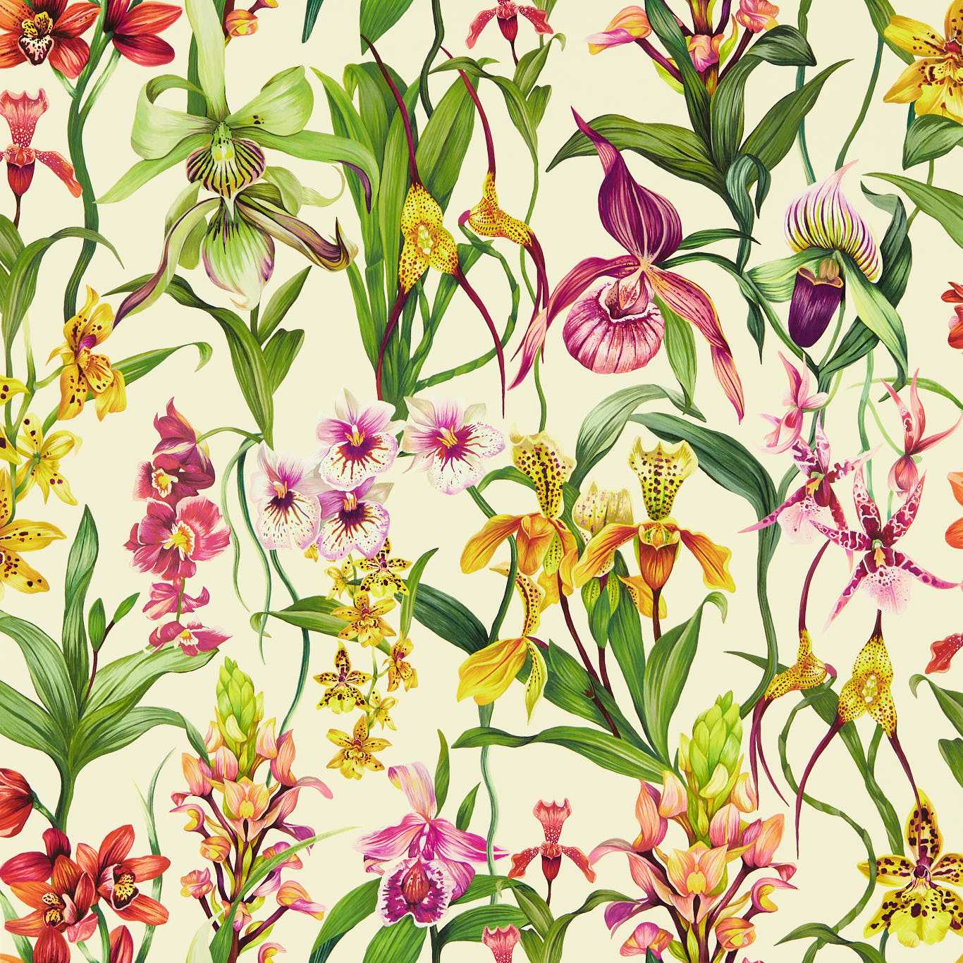 Harlequin tapeet Kalina Wide Width