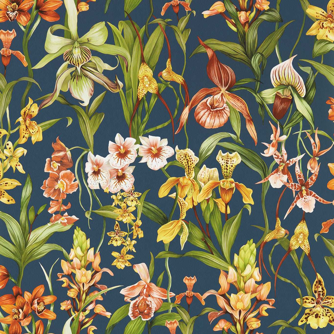 Harlequin tapeet Kalina Wide Width