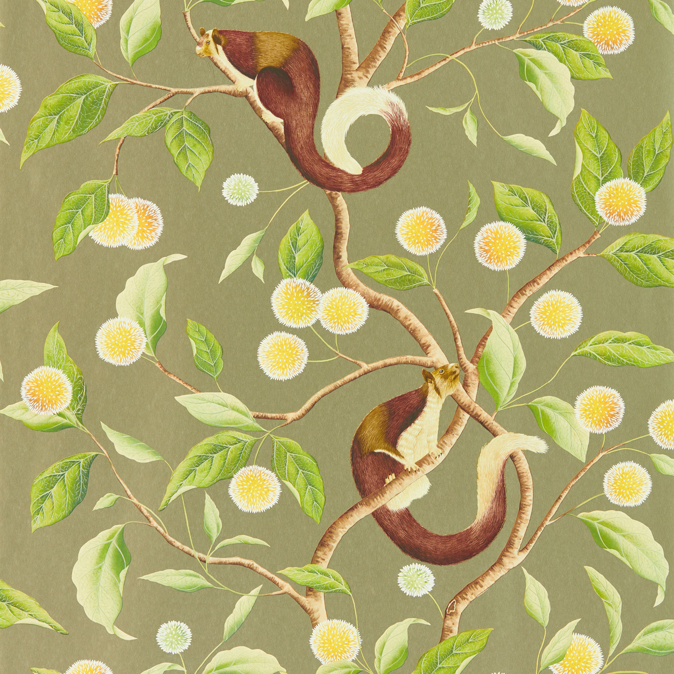 Harlequin tapeet Nellie Wide Width