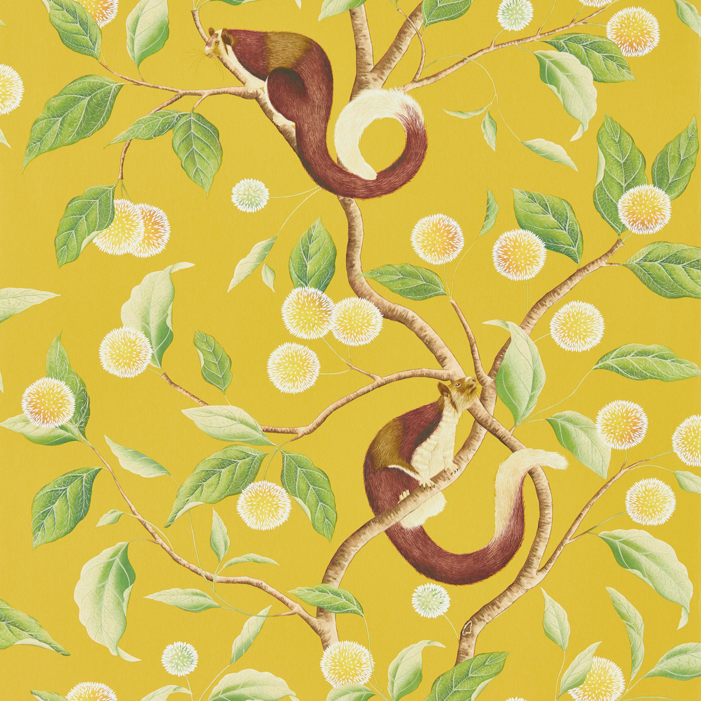Harlequin tapeet Nellie Wide Width