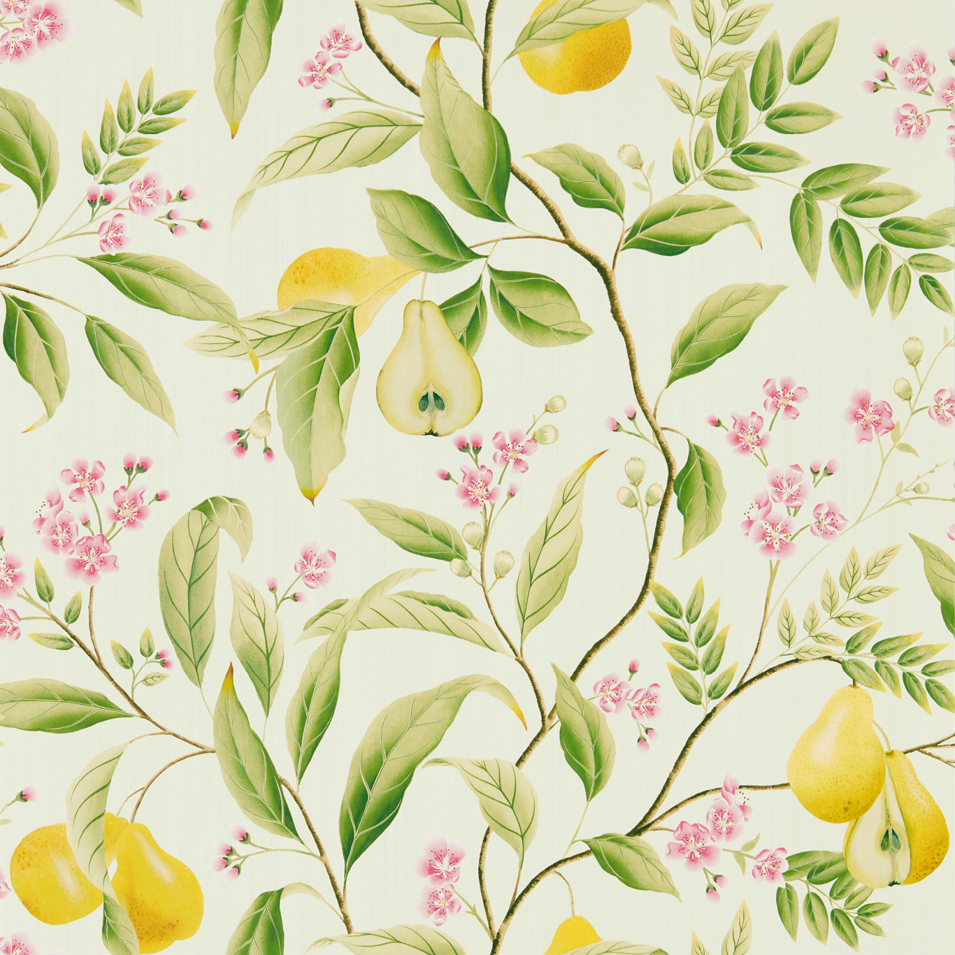 Harlequin tapeet Marie Wide Width