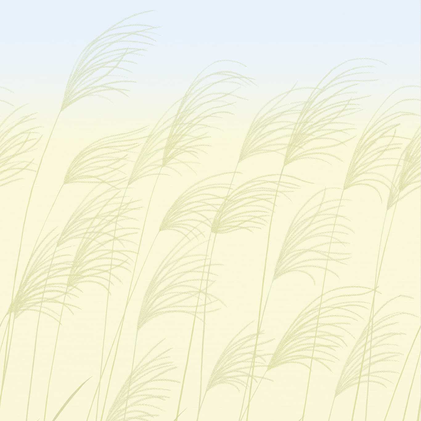 Harlequin tapeet Miscanthus