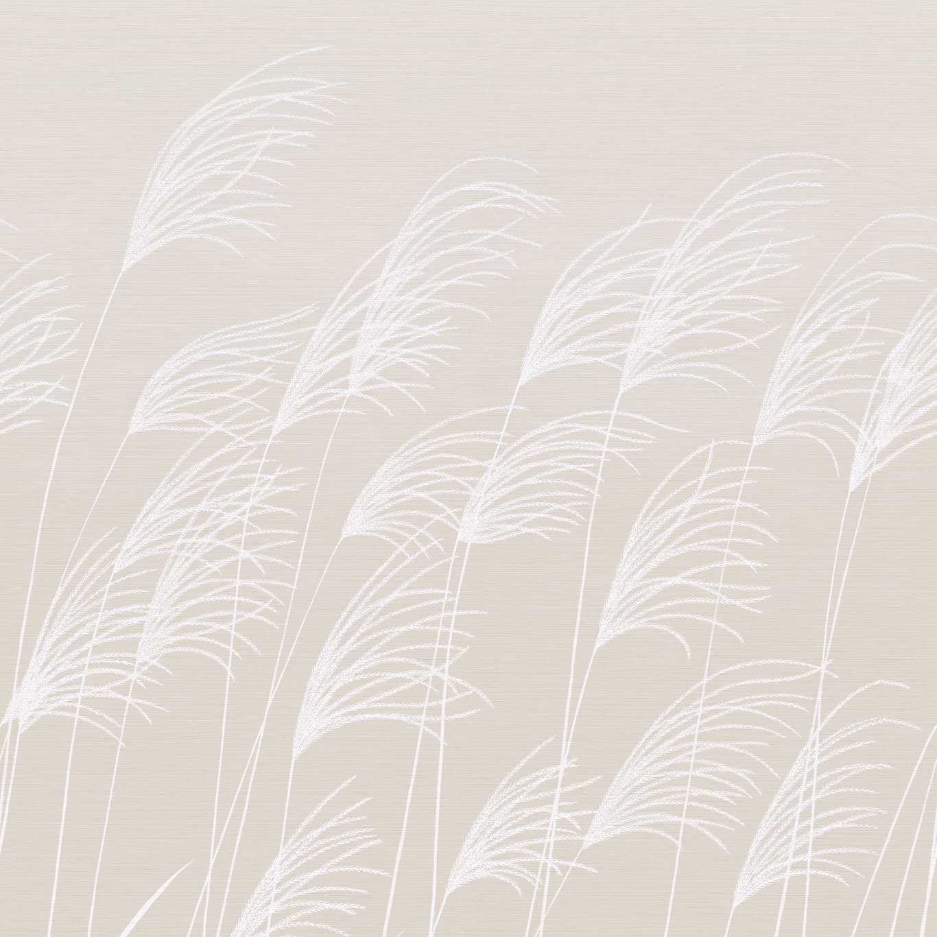 Harlequin tapeet Miscanthus