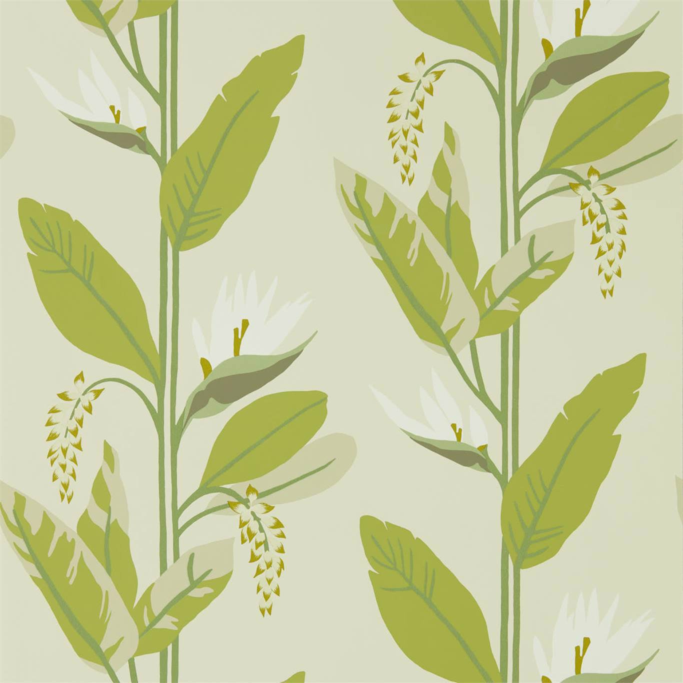 Harlequin tapeet Llenya Wide Width