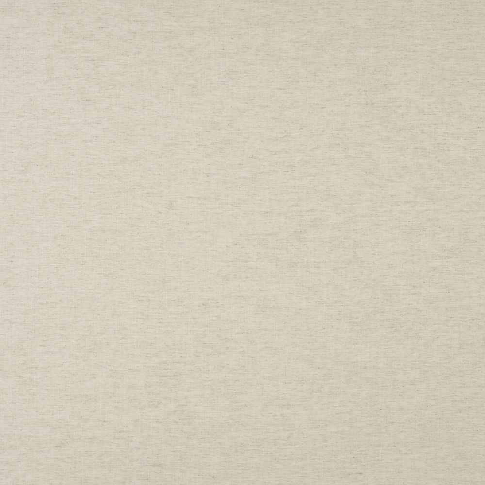 hoSwyrIZf9 Camengo kangas Newton Mushroom