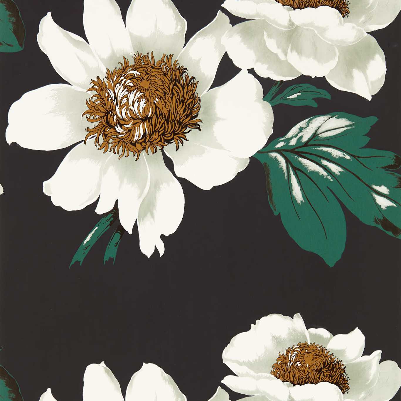 Harlequin tapeet Paeonia Wide Width