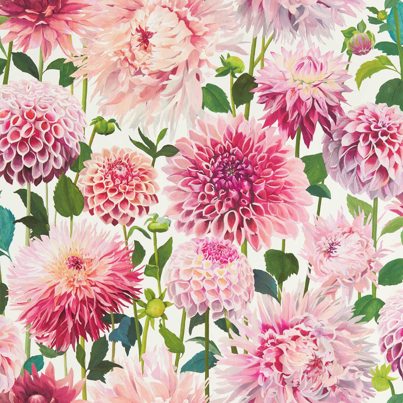Harlequin tapeet Dahlia Wide Width