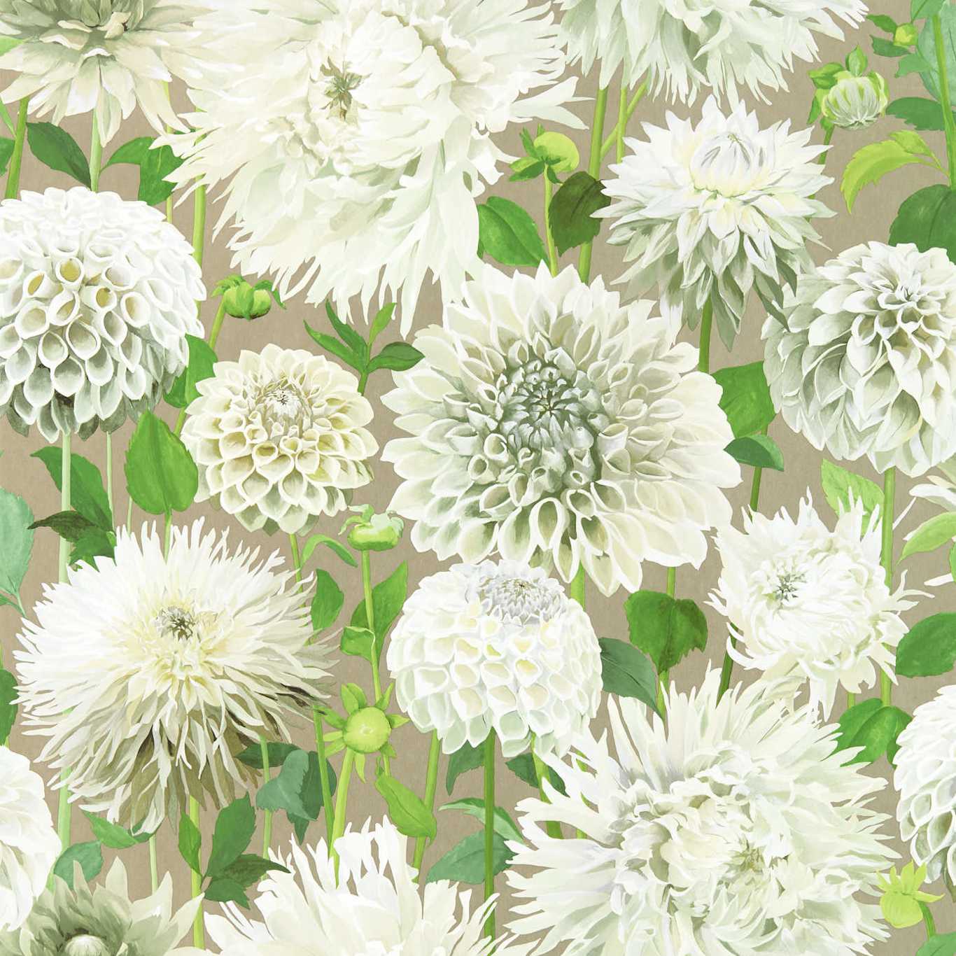 Harlequin tapeet Dahlia Wide Width