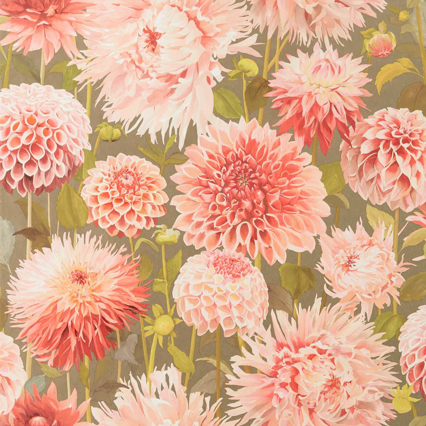 Harlequin tapeet Dahlia Wide Width