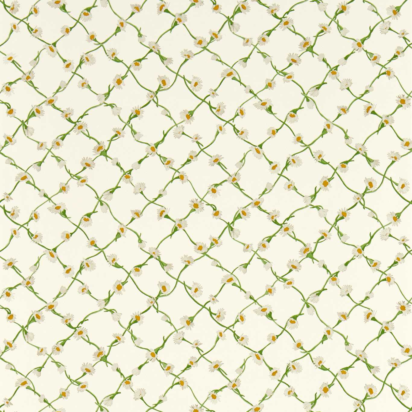 Harlequin tapeet Daisy Trellis