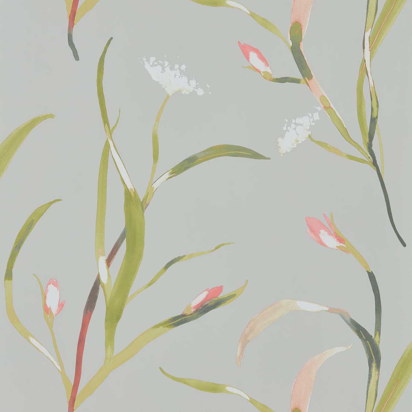 Harlequin tapeet Saona Wide Width