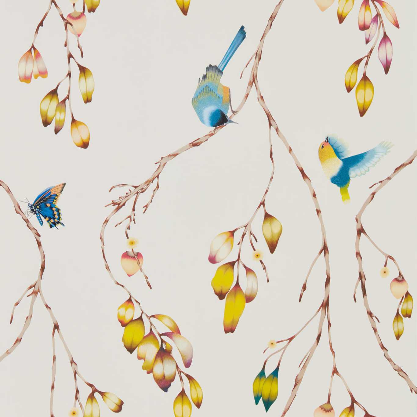 Harlequin tapeet Iyanu Wide Width