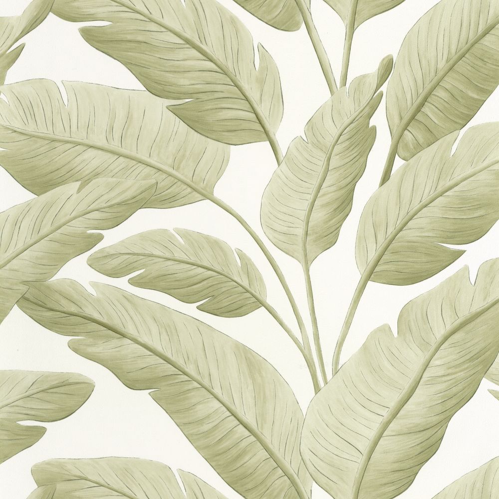 Caselio tapeet Tropicalia