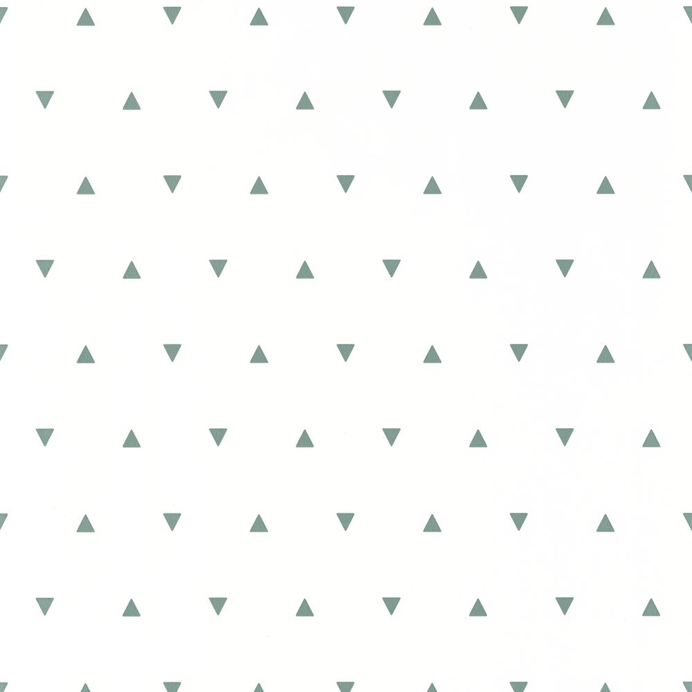 LaPNeRuDhM Caselio tapeet Our Planet Bermuda Triangle