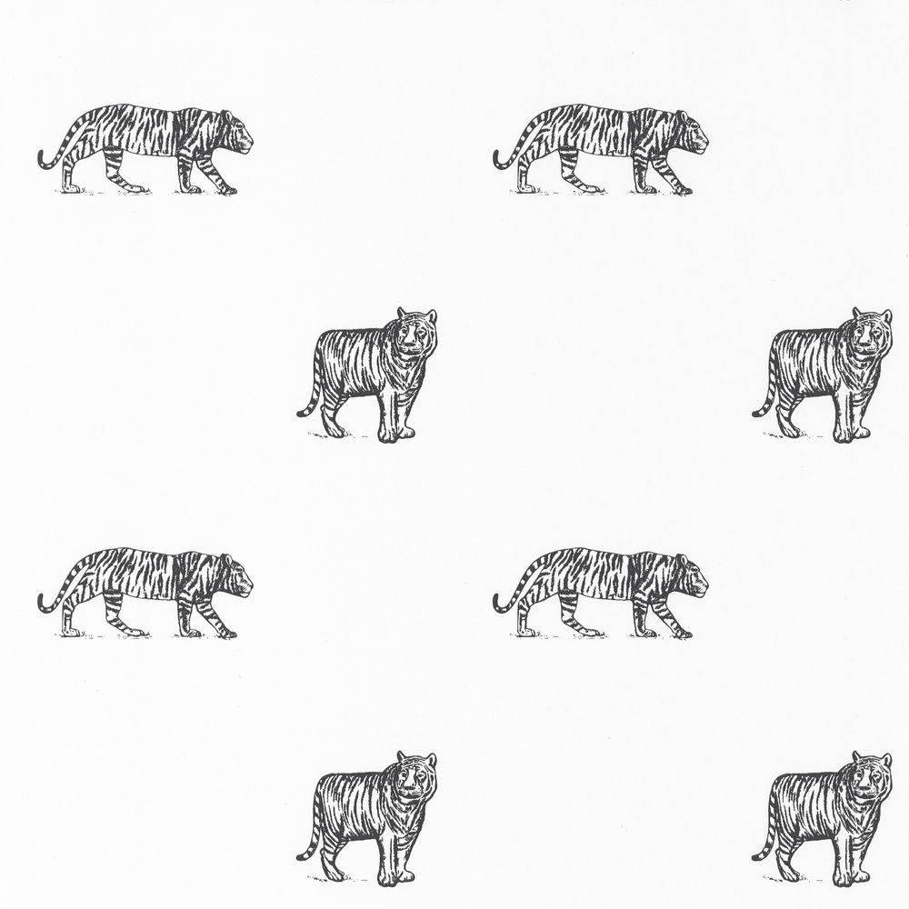 m32HLLbhy3 Caselio tapeet Our Planet Eye Of The Tiger