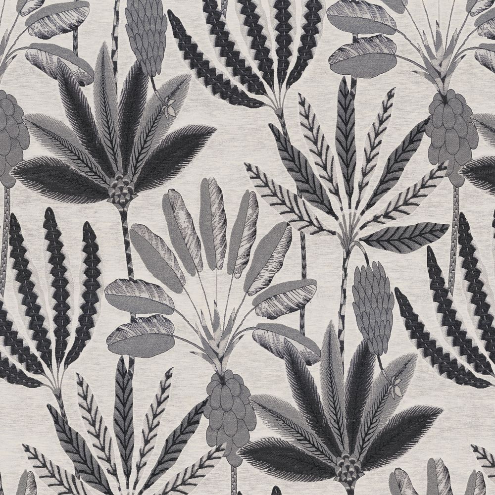 Camengo kangas Phloème Carbone