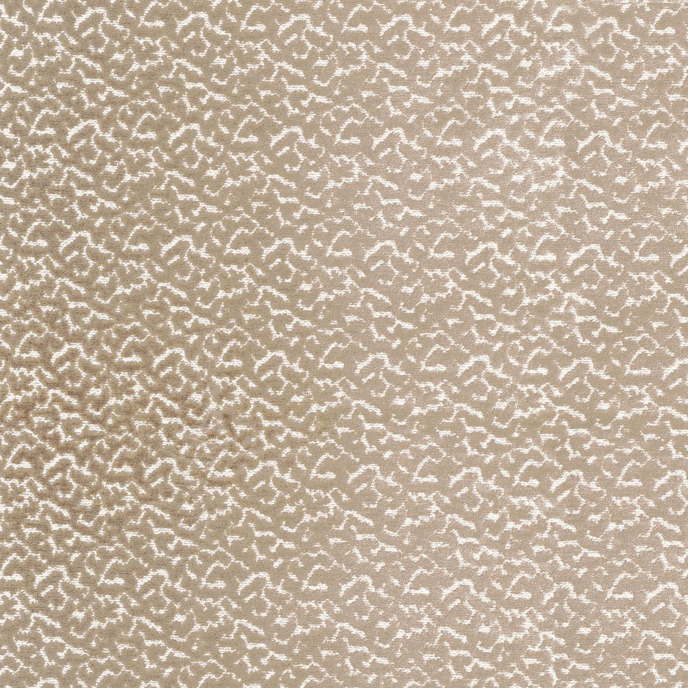 Camengo kangas Smooth Chamois