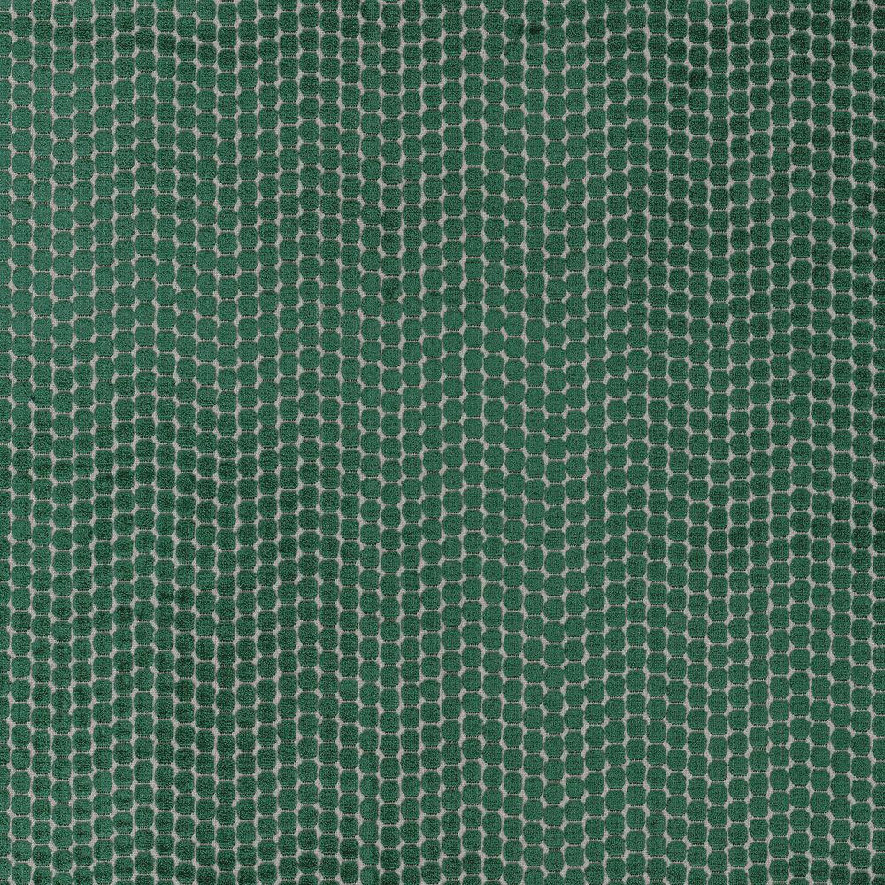 Camengo kangas Perou Vert