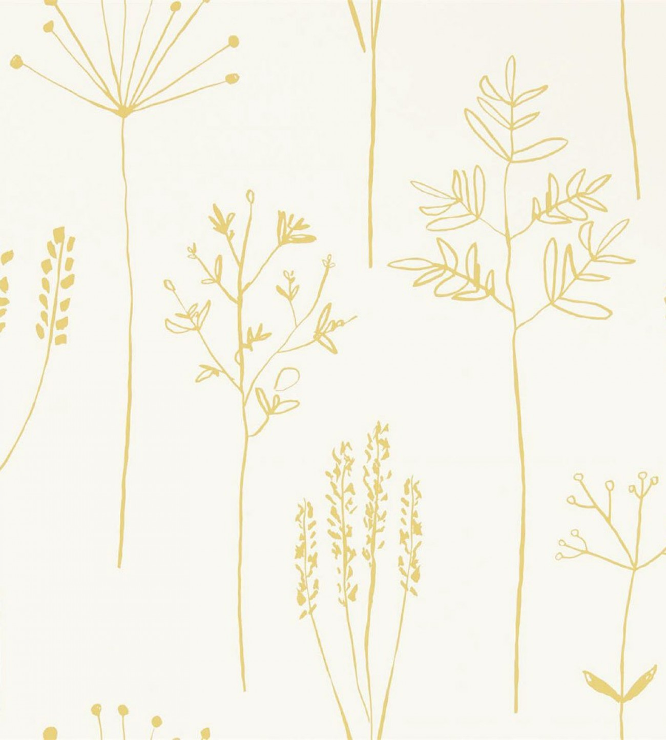 scion-zanzibarwallpapers-stipa-112021-01 Scion tapeet Honey