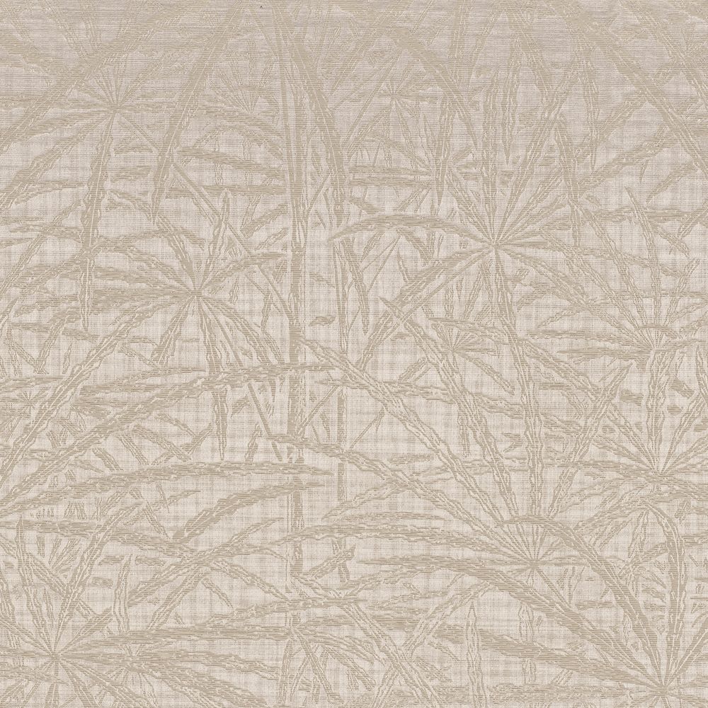 9188 - Left211 Casamance kangas Palem Craie