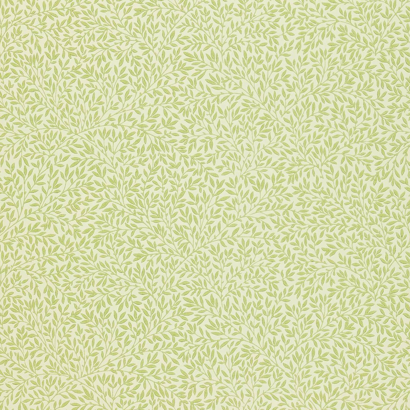 standen-morris-and-co-fennel-wallpaper-wr8045-3-image01 Morris & Co. tapeet Standen