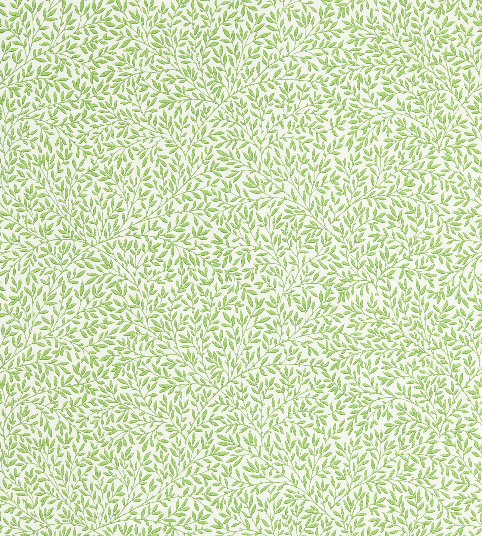 standen-morris-and-co-leaf-green-wallpaper-217066-image01 Morris & Co. tapeet Standen