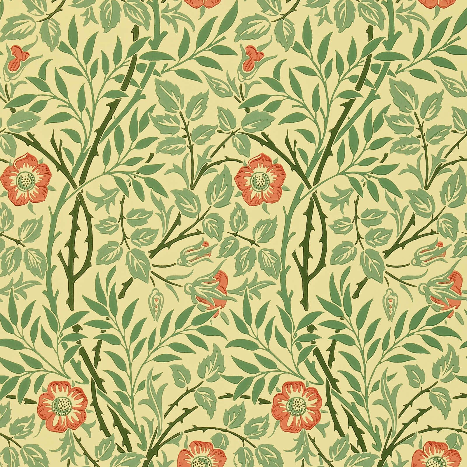 sweet-briar-morris-and-co-green-rust-wallpaper-wm7421-5-image01 Morris & Co. tapeet Sweet Briar