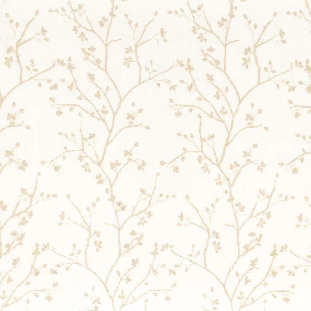 2167 - Left211 Camengo kangas Mathurin Lin