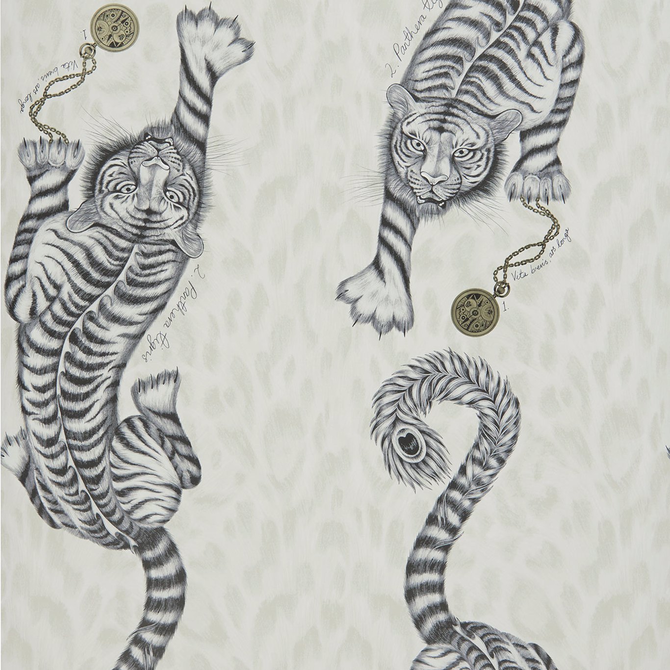 Clarke & Clarke tapeet Tigris