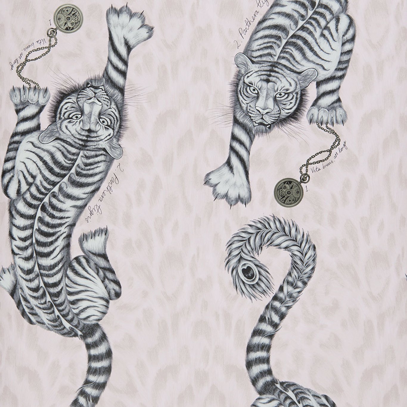 Clarke & Clarke tapeet Tigris