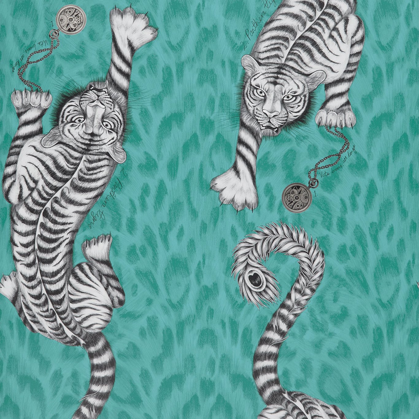 Clarke & Clarke tapeet Tigris