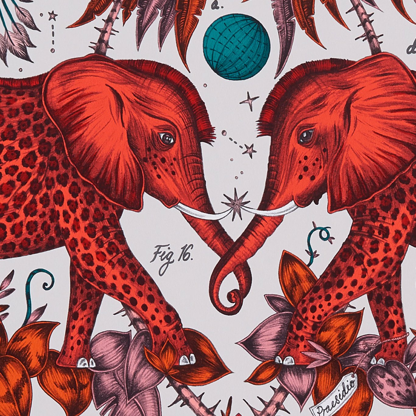 Clarke & Clarke tapeet Zambezi