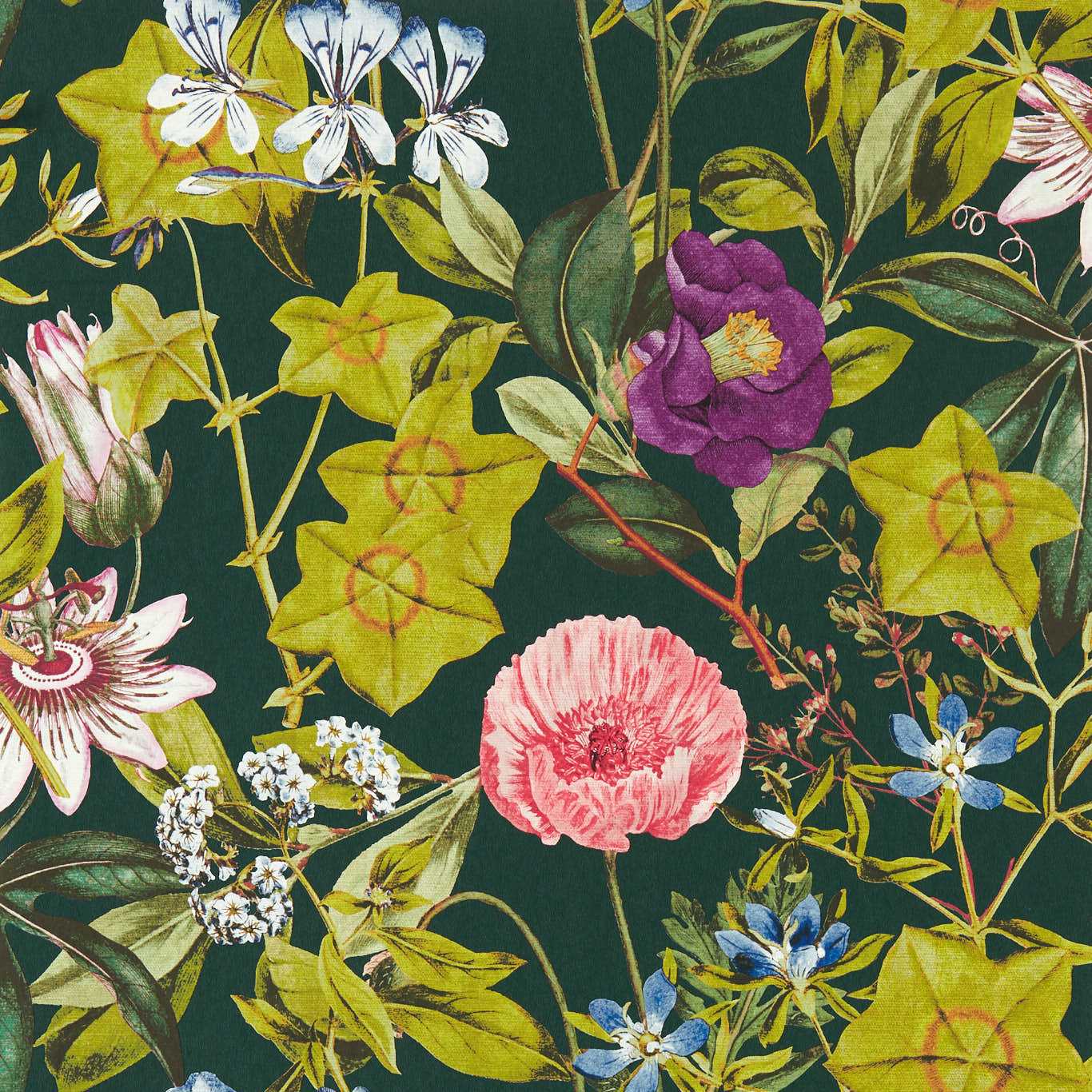 Clarke & Clarke tapeet Passiflora