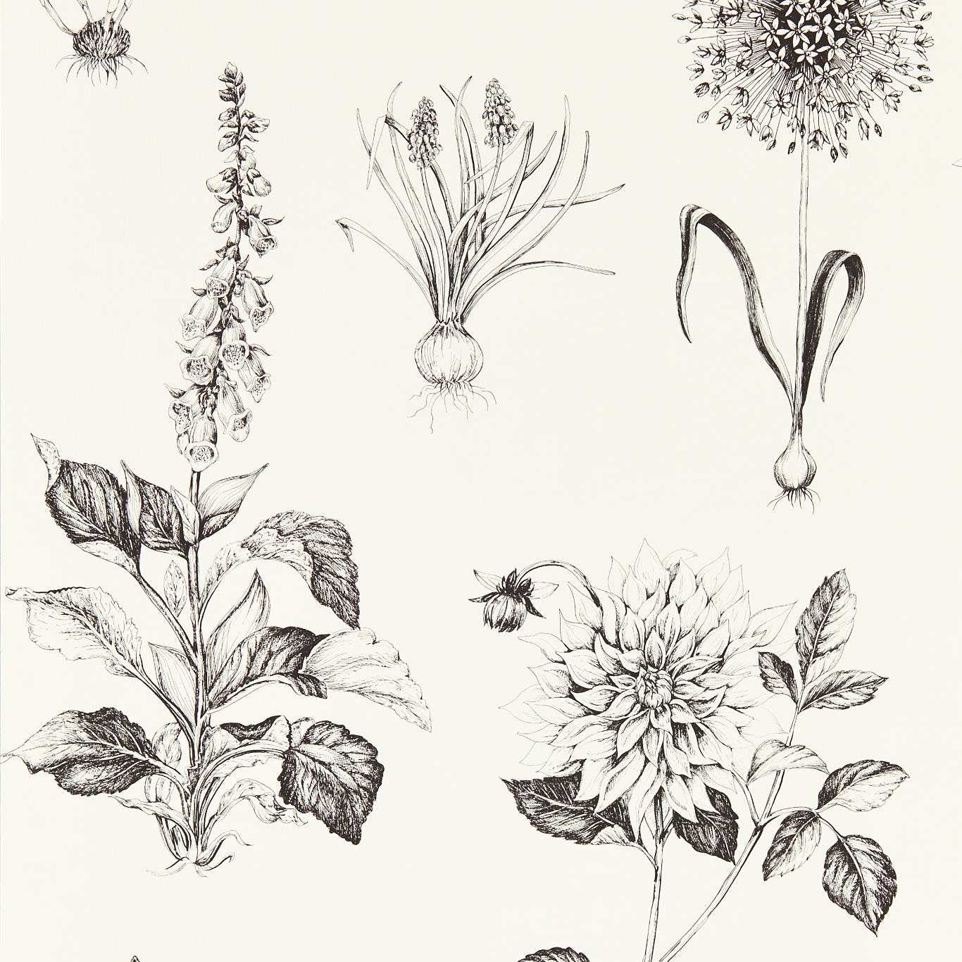 Clarke & Clarke tapeet Roseraie
