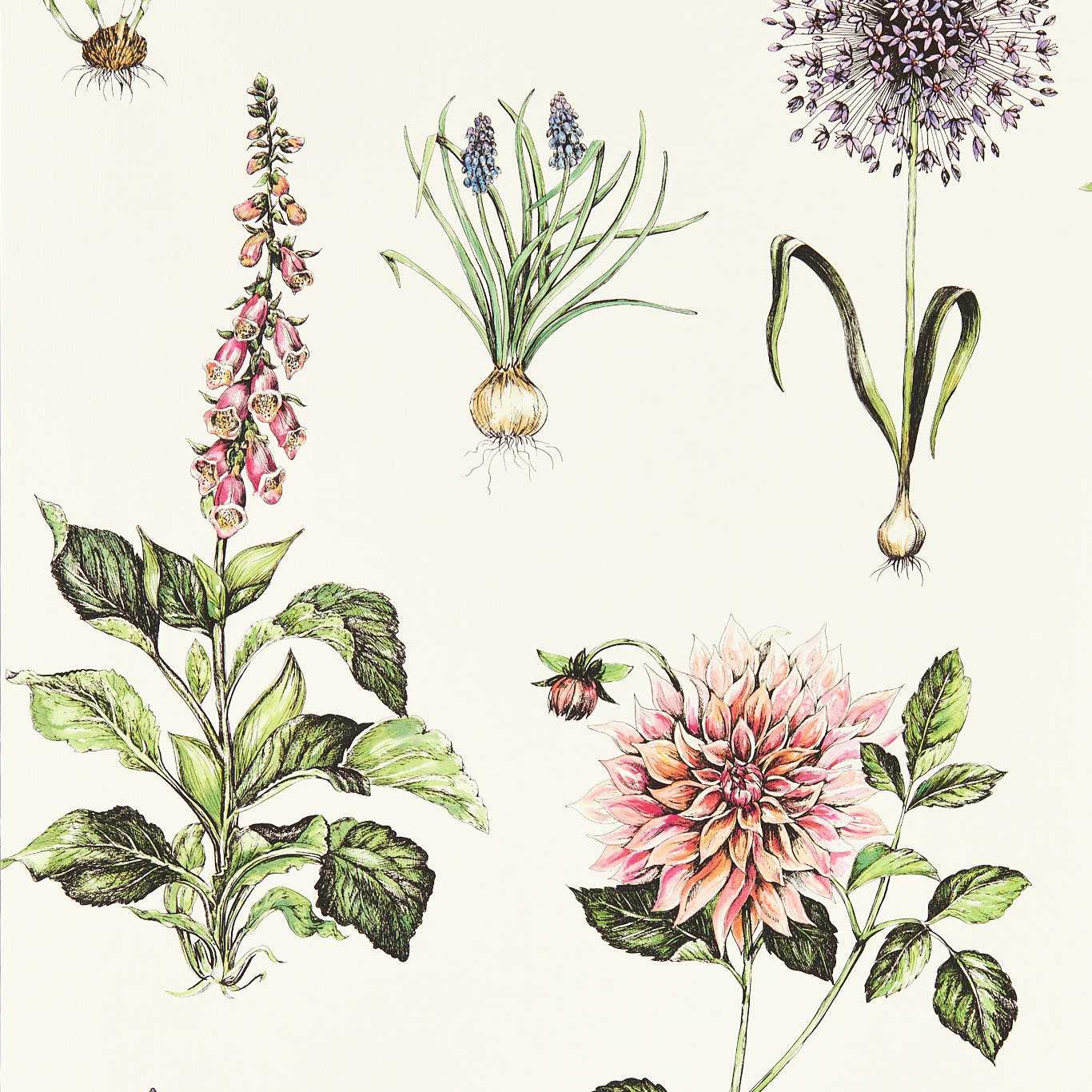 Clarke & Clarke tapeet Roseraie