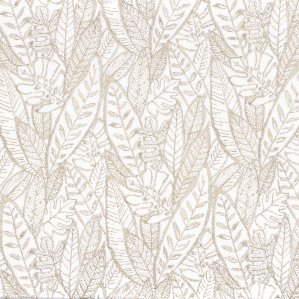 14736 - Left211 Camengo kangas Tokaido Sable