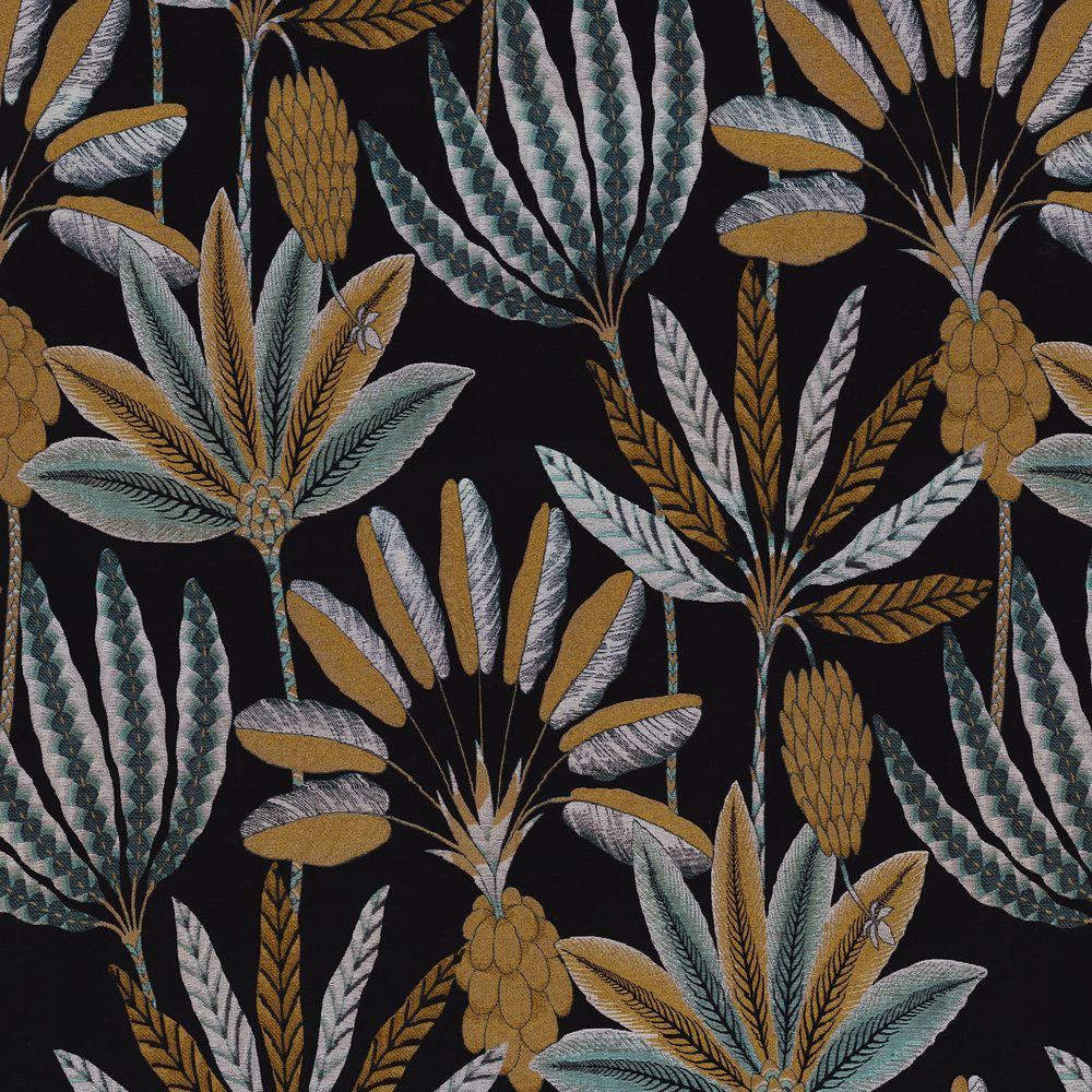 Camengo kangas Phloème Horizon