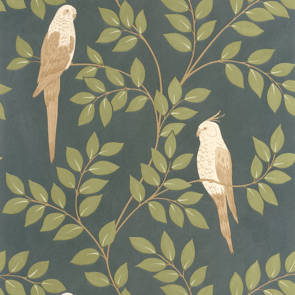 Y9DGndxuBw Caselio tapeet Equateur