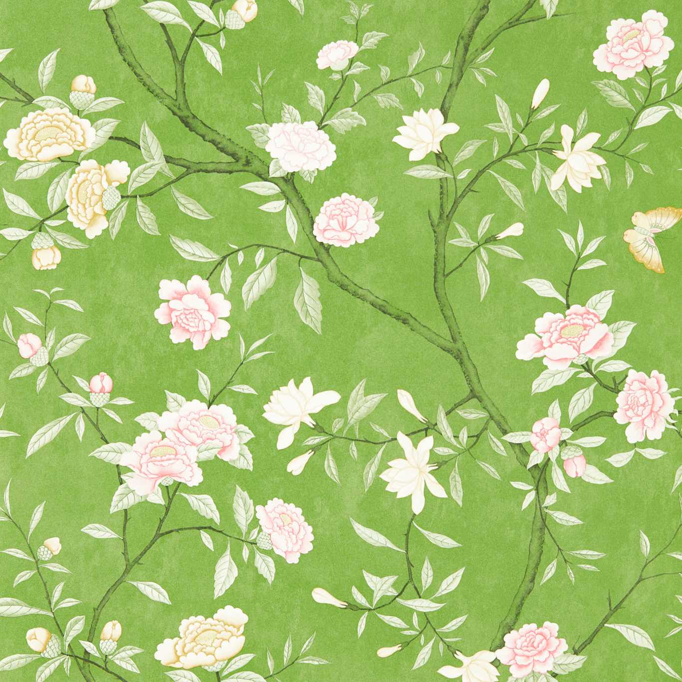 Zoffany tapeet Nostell Priory