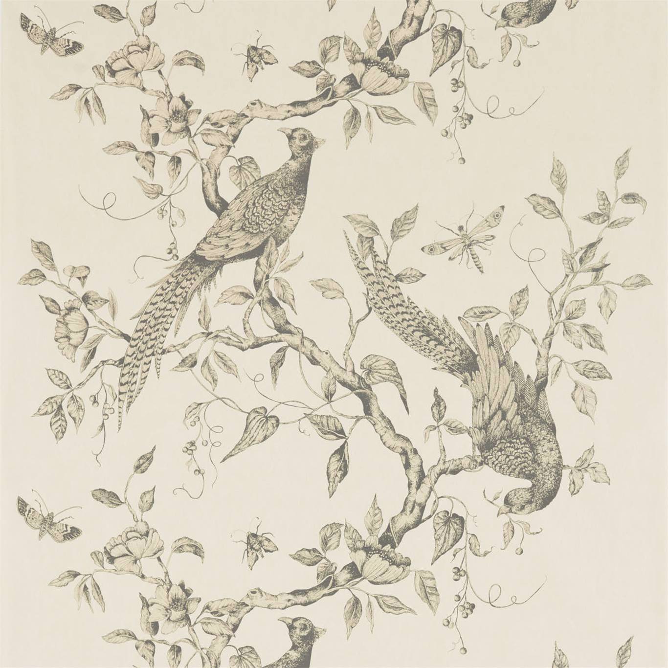 Zoffany tapeet Darnley