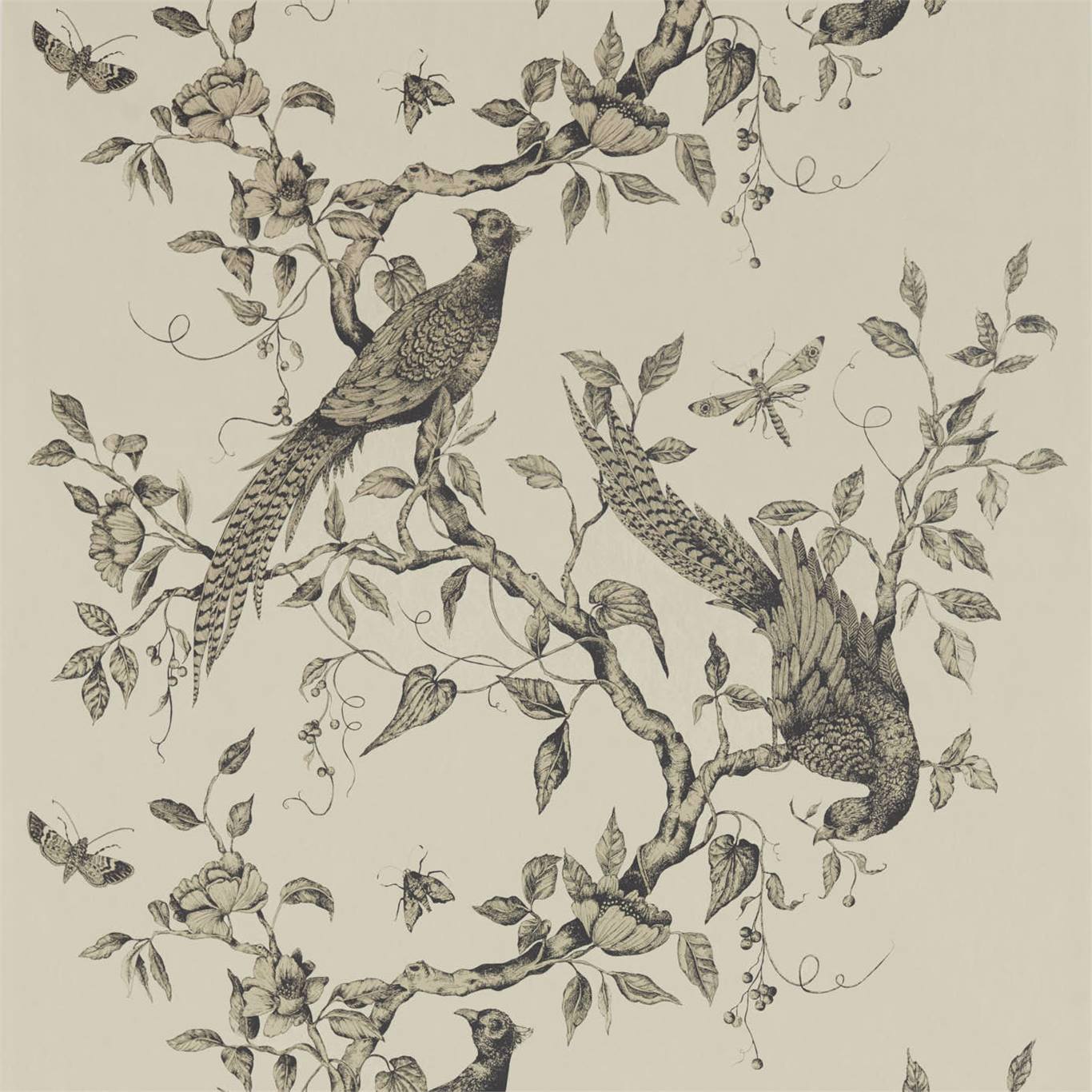 Zoffany tapeet Darnley