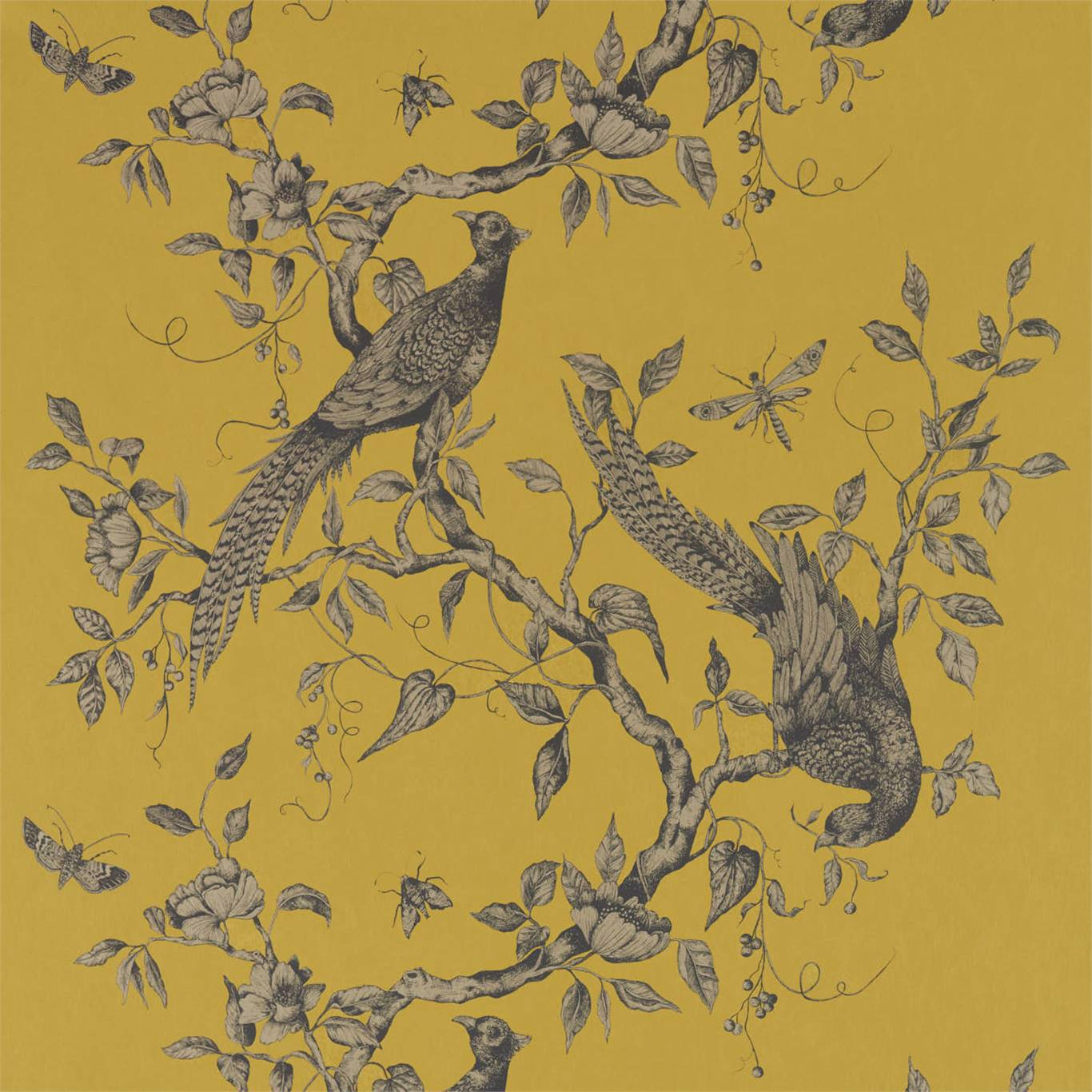 Zoffany tapeet Darnley