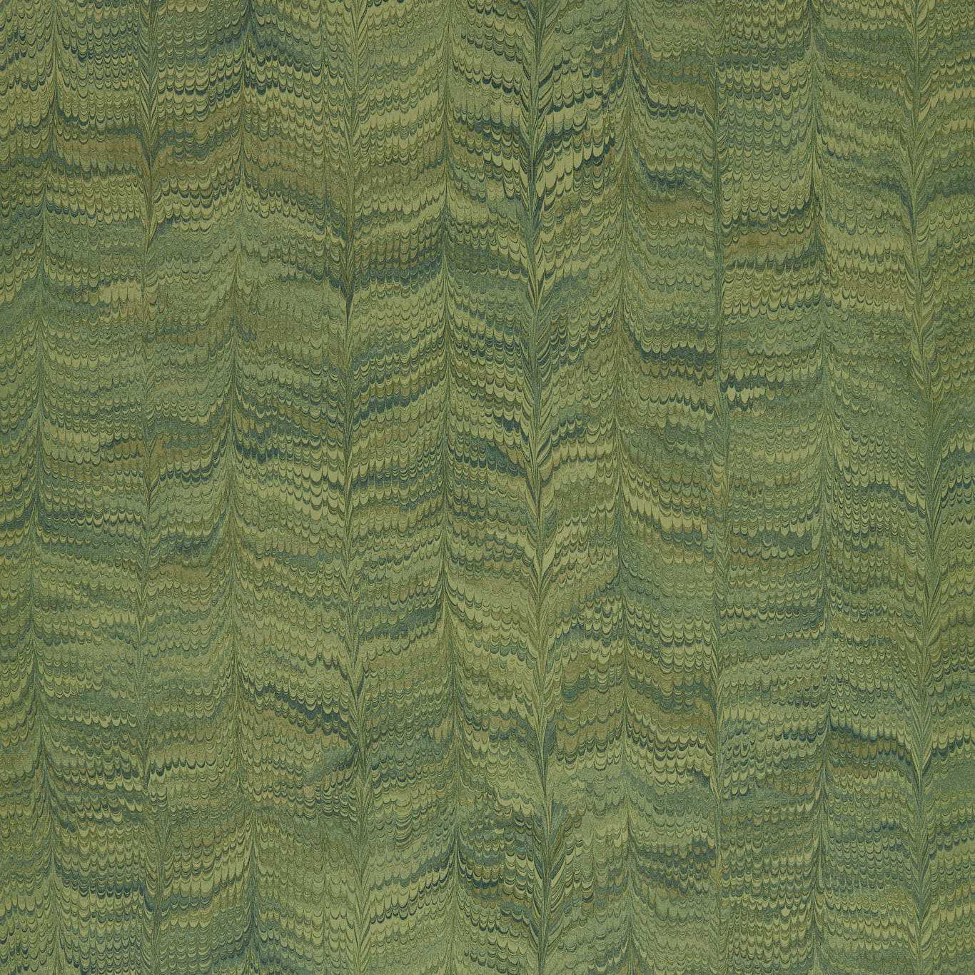 Zoffany tapeet Jaipur Plain
