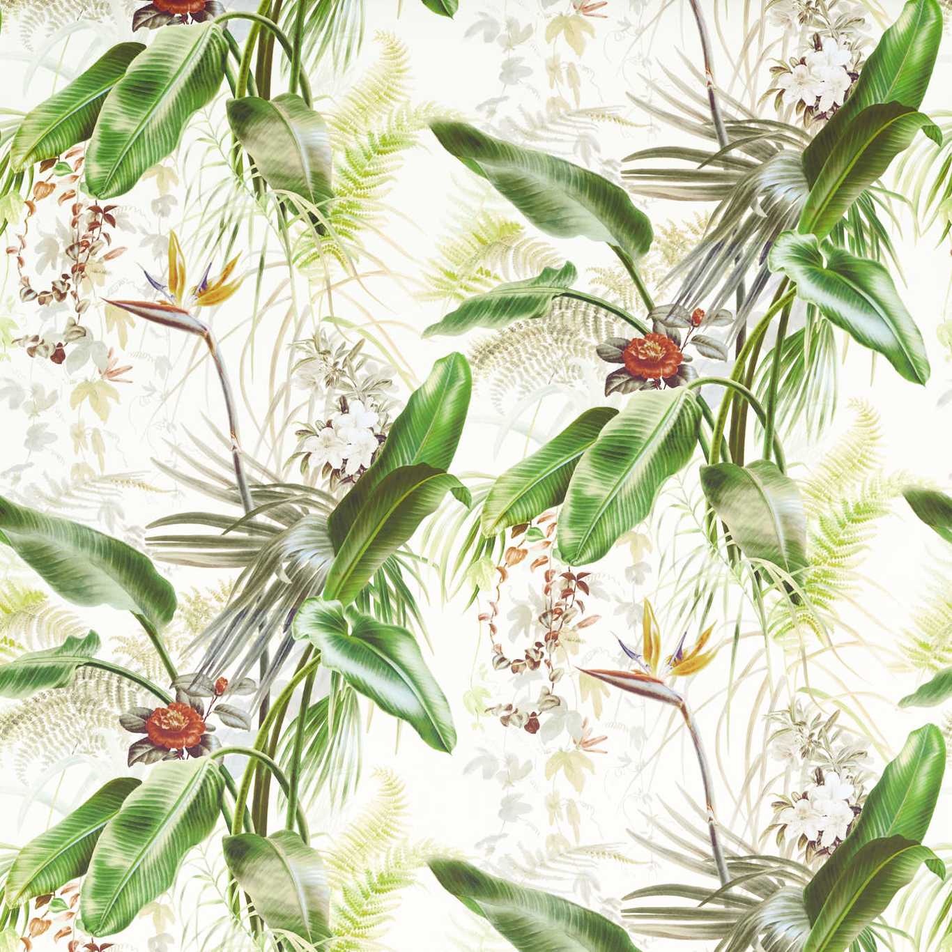 Zoffany tapeet Paradise Row