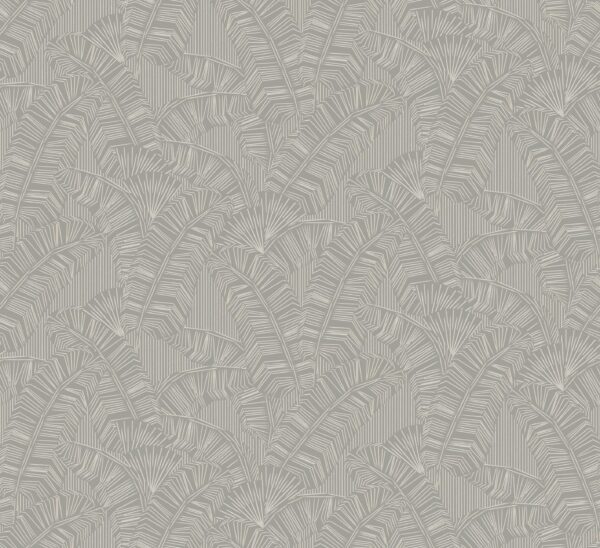 ama404_g Masureel tapeet Solana Cloud