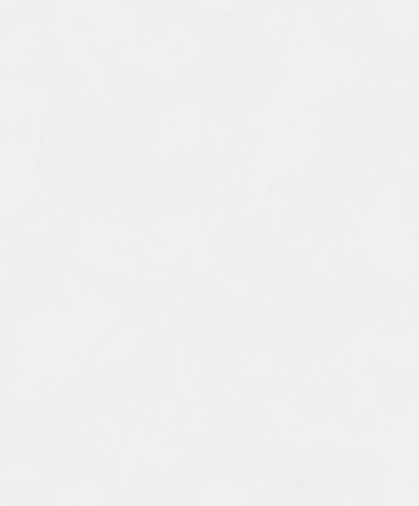 BLONE1002.TIF Masureel tapeet Color Glacier