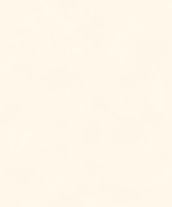 BLONE1006.TIF Masureel tapeet Color Oyster