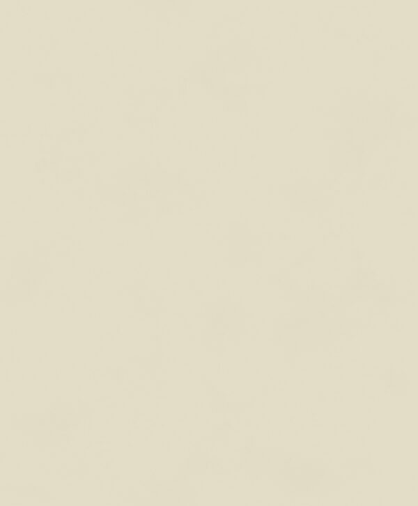 BLONE1007.TIF Masureel tapeet Color Cement