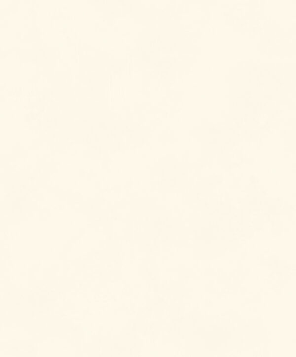 Masureel tapeet Color Mastic